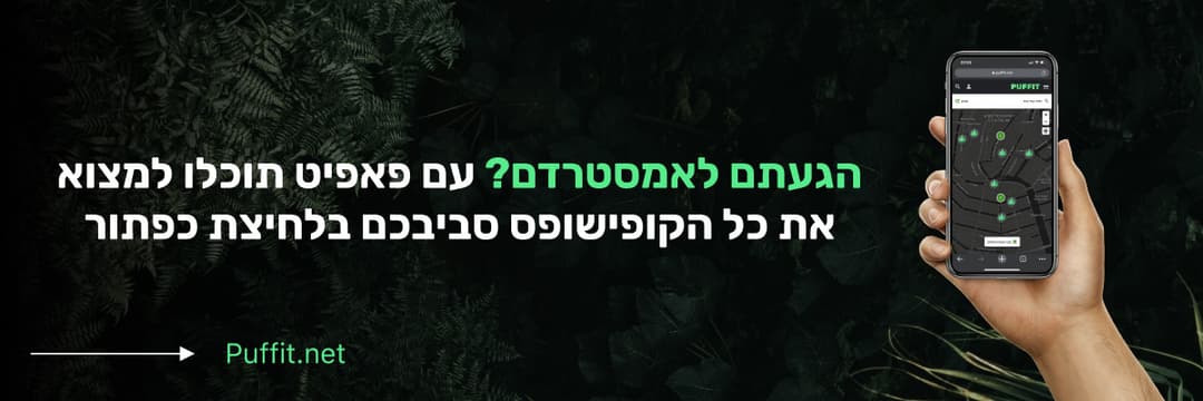 כללי התהנגות בקופי שופ באמסטרדם