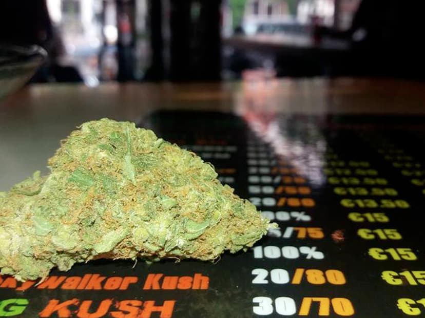 Super Skunk קופי שופ אמסטרדם